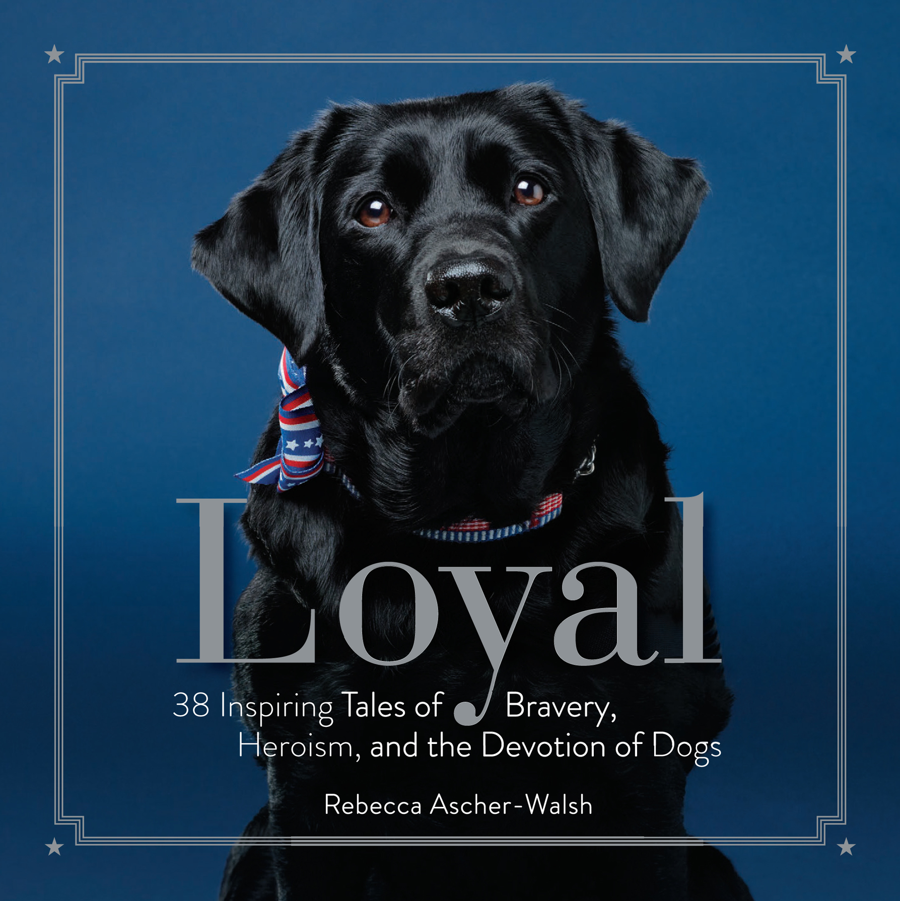 Loyal 38 Inspiring Tales of Bravery Heroism and the Devotion of Dogs - photo 1