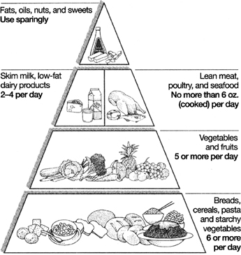 The secret of the AHA Healthy Heart Food Pyramid is simple Its a tool to help - photo 4