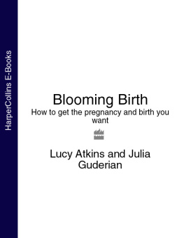 Atkins Lucy - Blooming birth: how to get the pregnancy and birth you want