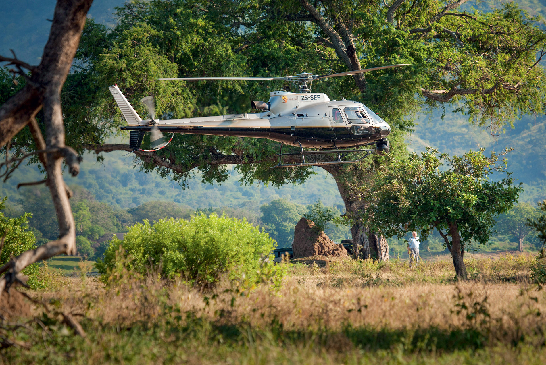 Helicopter pilot Gert Uys flew all the aerials of the painted wolves including - photo 5