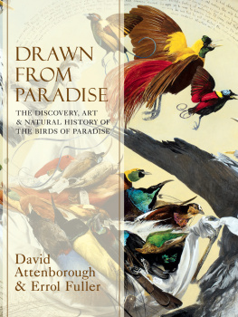 Attenborough Sir David Drawn From Paradise: The Discovery, Art and Natural History of the Birds of Paradise