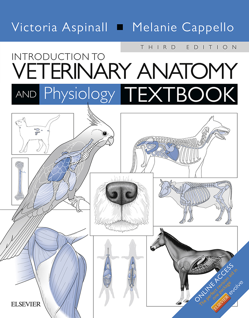 Introduction to Veterinary Anatomy and Physiology Textbook Third Edition - photo 1