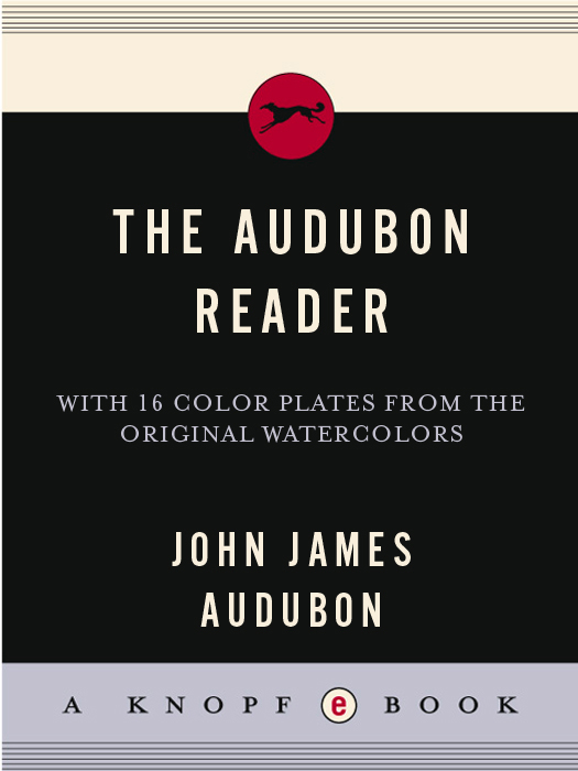 The Audubon Reader - photo 1