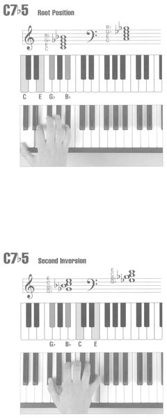 Picture Chord Encyclopedia for Keyboard - photo 21