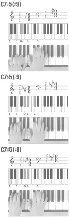 Picture Chord Encyclopedia for Keyboard - photo 46