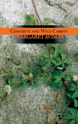 Avison - Concrete and Wild Carrot