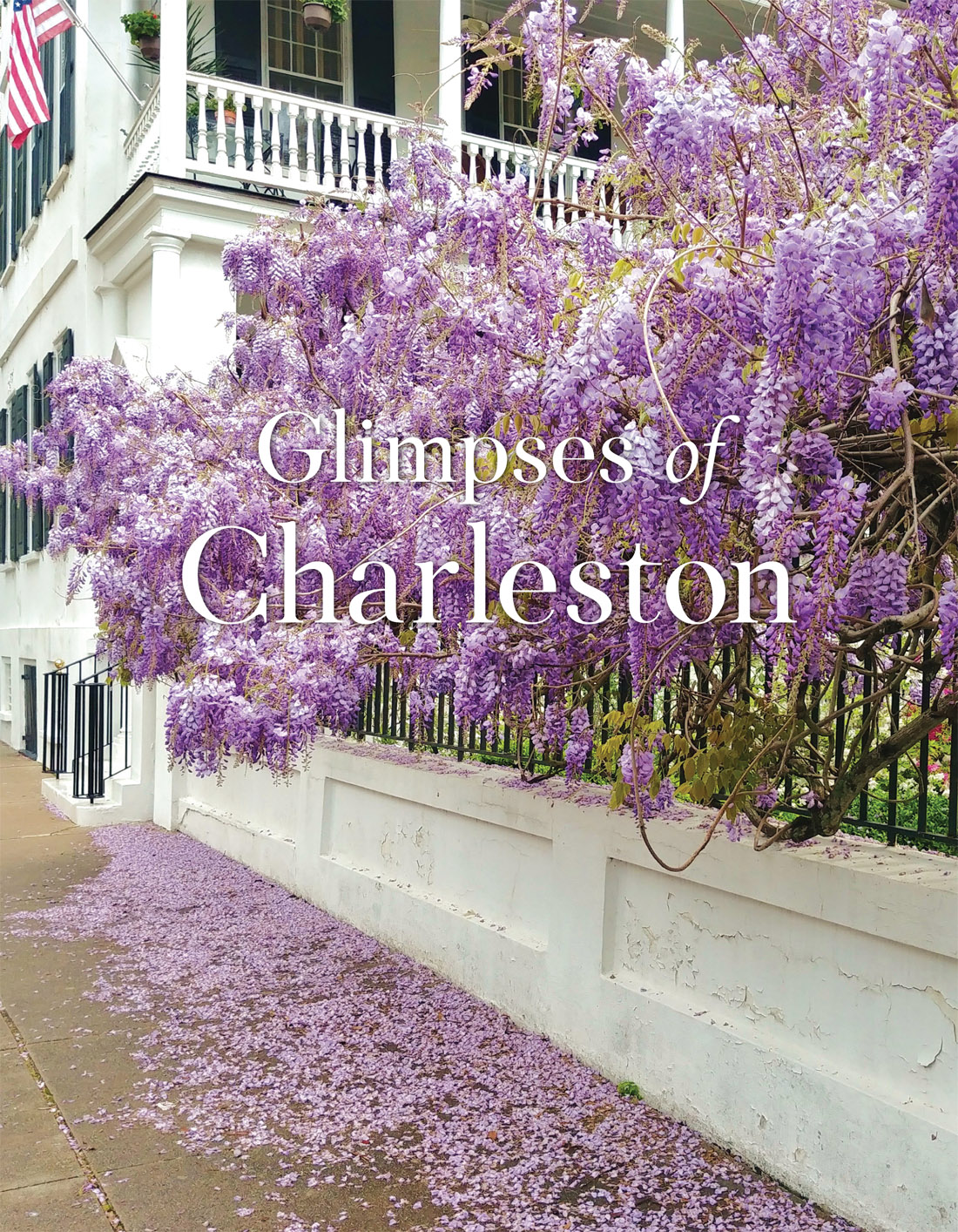 Glimpses of Charleston - image 3