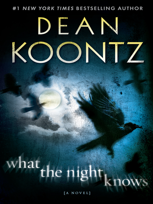 NOVELS BY DEAN KOONTZ Breathless Relentless Your Heart Belongs to Me The - photo 1