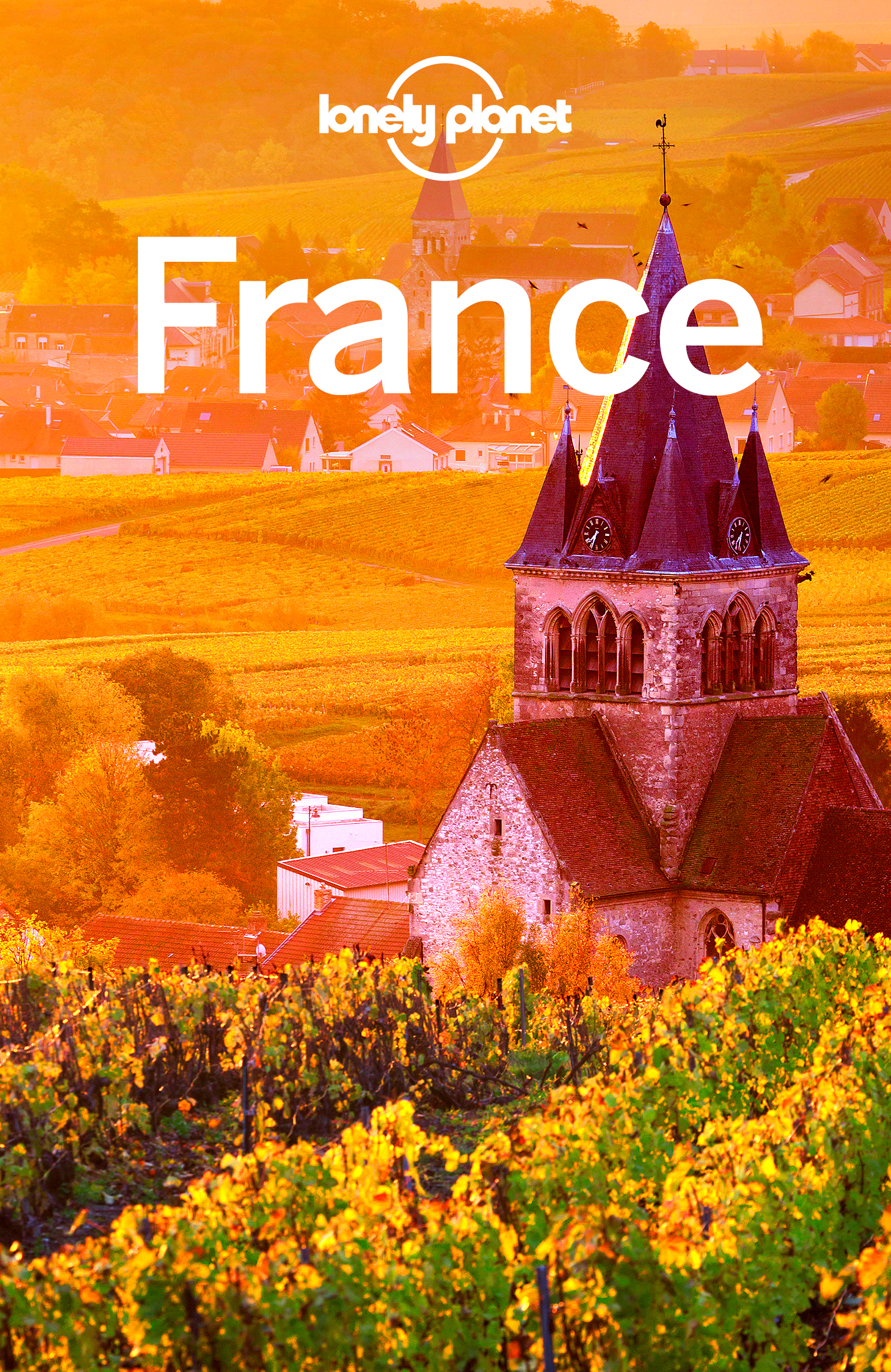 France Travel Guide - image 1