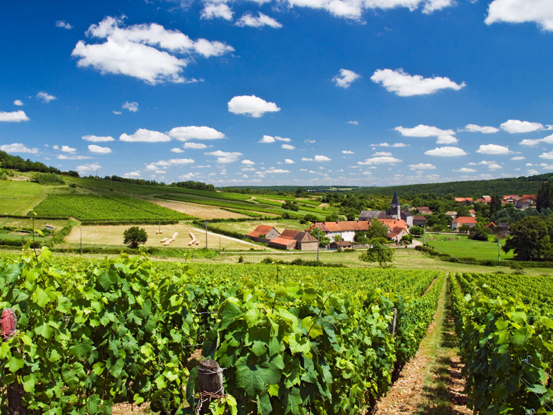 Vineyards near Beaune Burgundys viticultural capital DENNIS K JOHNSON GETTY - photo 4