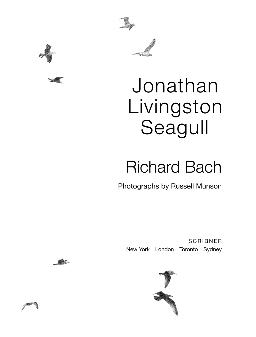 Jonathan Livingston Seagull - image 6