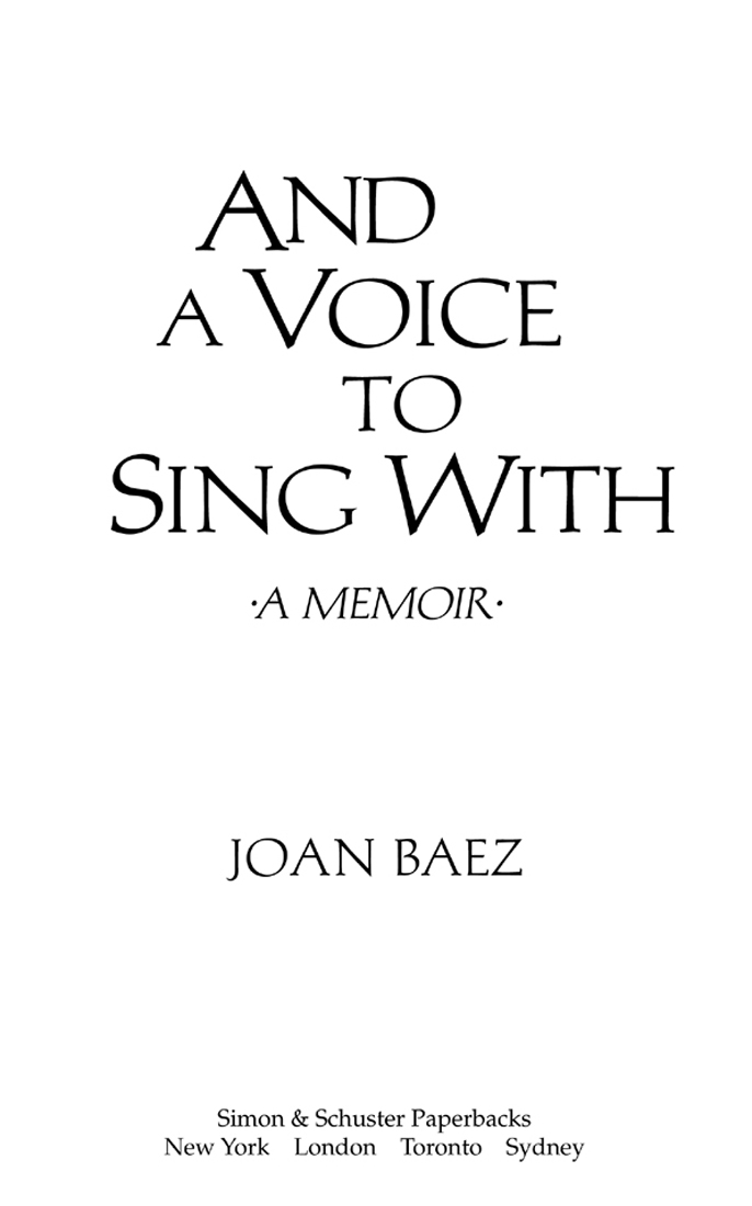 And a Voice to Sing With - image 6
