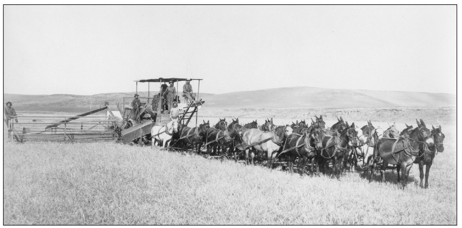 HARVESTING WHEAT LATE 1800s Wheat was the prime staple crop of the county - photo 4