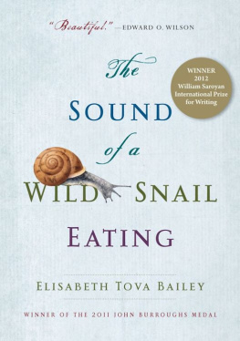 Bailey The Sound of a Wild Snail Eating