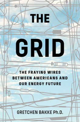 Bakke - The grid: the fraying wires between Americans and our energy future