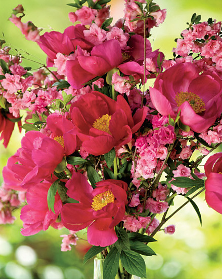 Looking closely at the arrangement makes it easy to see that the azalea blooms - photo 7