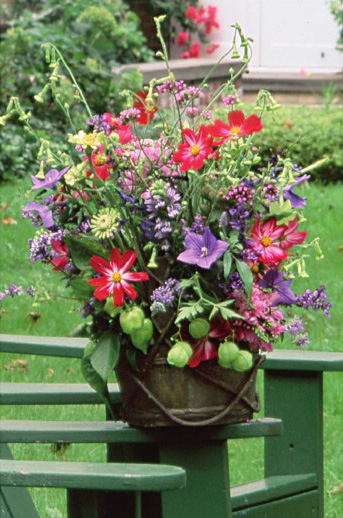 A Chinese basket holds an arrangement of zinnias balloon flower cosmos - photo 3