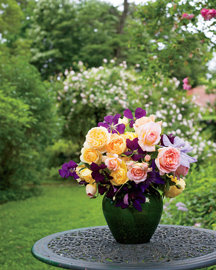 Pink and yellow English roses along with purple Jackmanii and blue General - photo 4