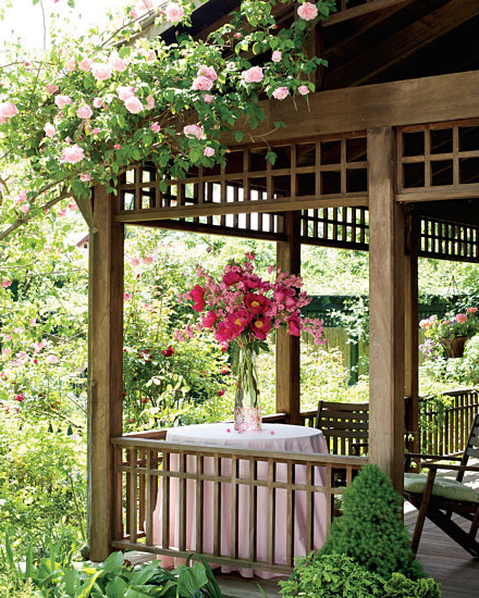 Long stems of America a fragrant red peony are poked in among the branches of - photo 6