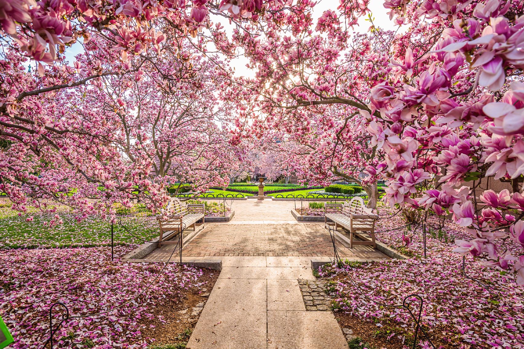 Springtime Washington DC SEAN PAVONE GETTY IMAGES NEW YORK THE - photo 6