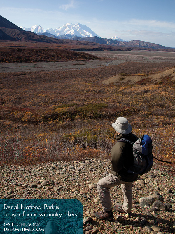 The Alaska Wilderness Southeast Alaska - photo 11