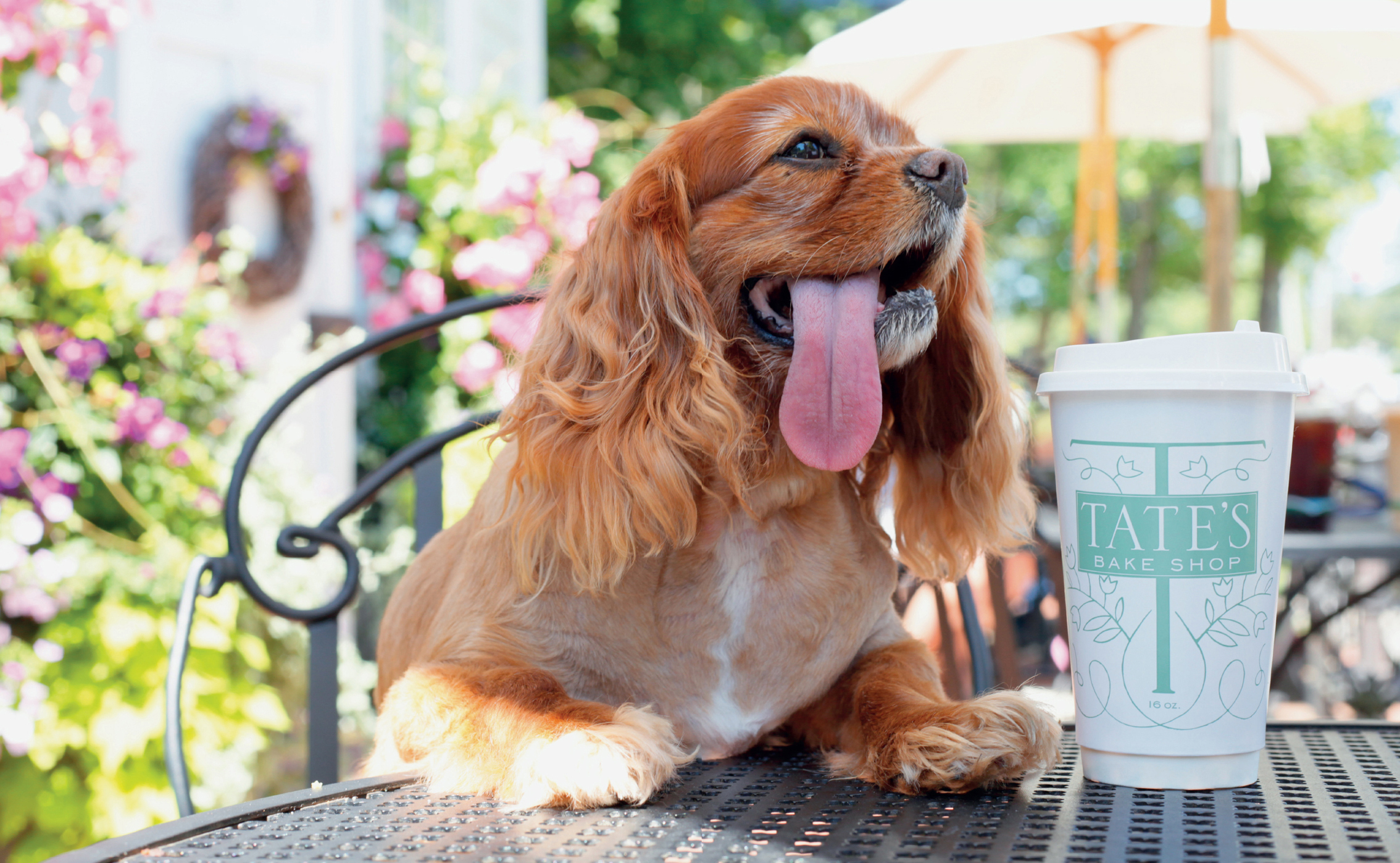 This is my face every morning when I wake up in the Hamptons Who has time - photo 3