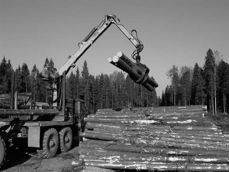 Forestry operation in northwest Russia Photo courtesy of Jouni Martti - photo 4