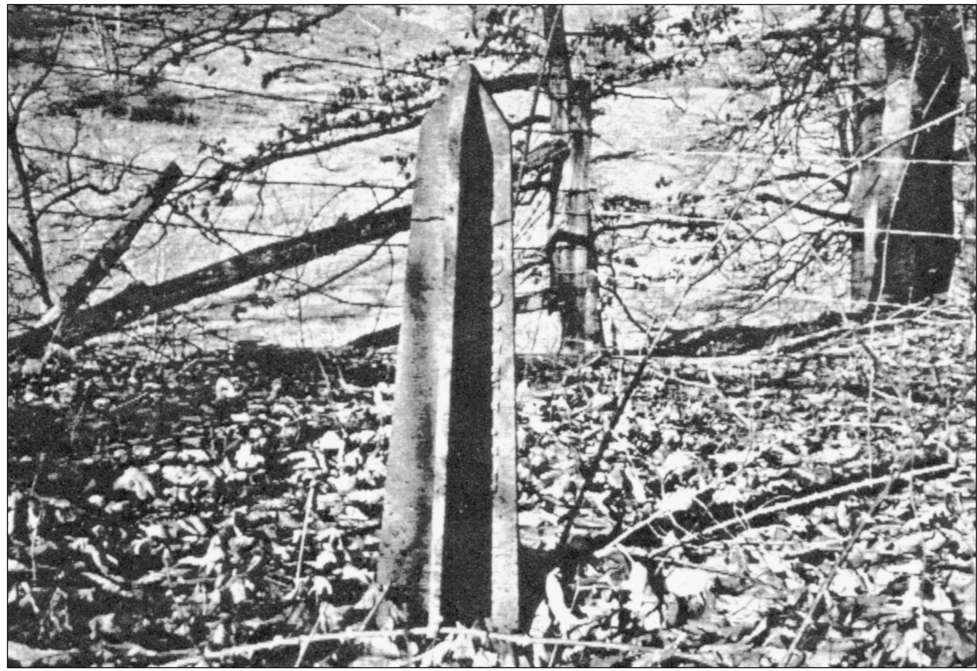 In 1866 the Kentucky Improvement Company marked the boundary of surveyed land - photo 5