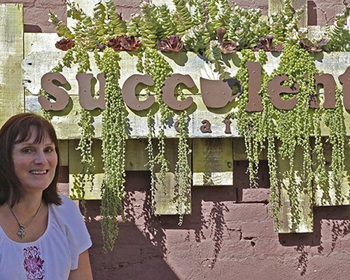 After it opened in 2011 the Succulent Caf in Oceanside California became a - photo 5