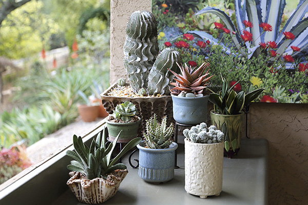 Much of the fun of collecting art pottery is selecting the perfect succulent - photo 6