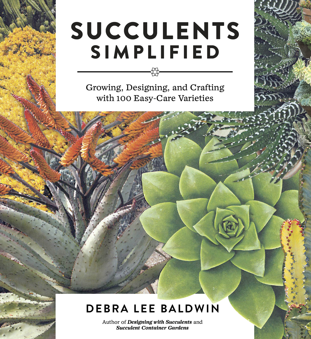 Succulents Simplified Succulents Simplified Growing Designing and - photo 1