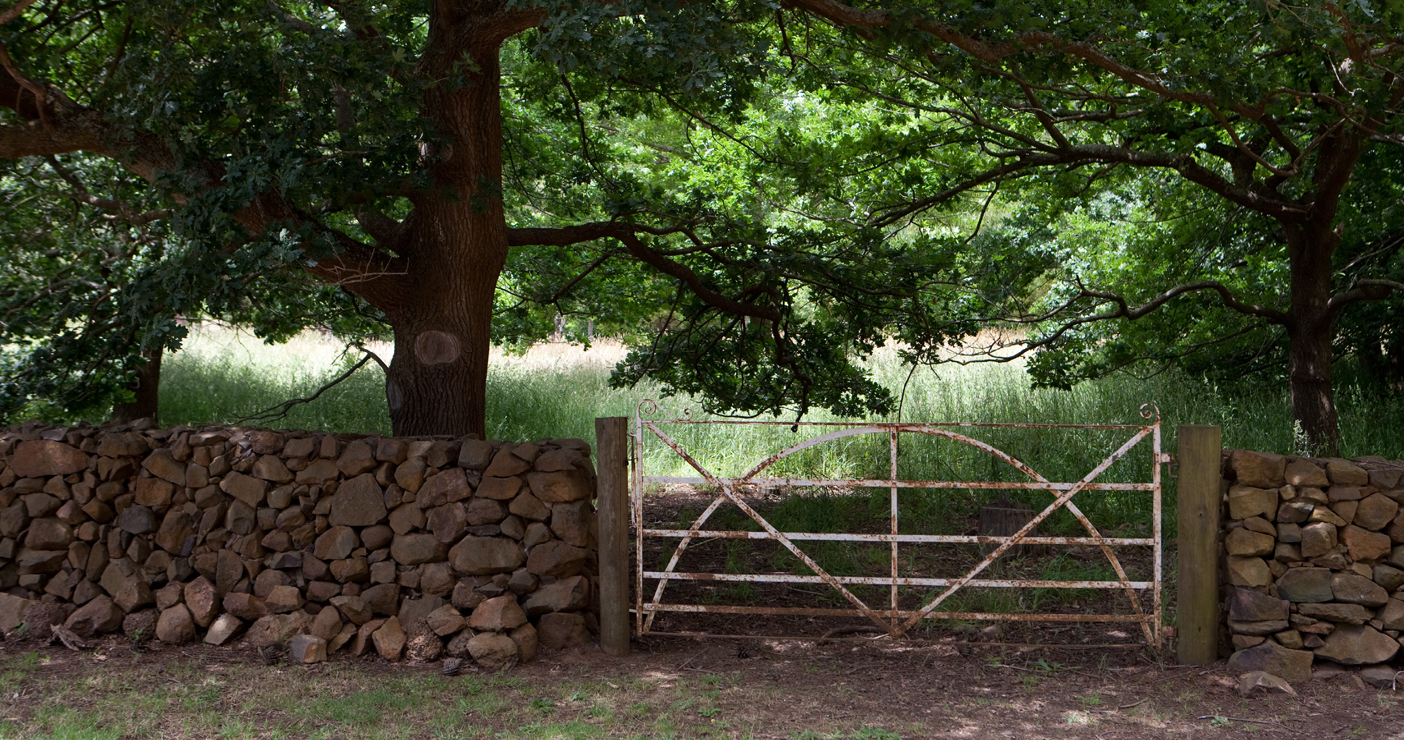 The gates at Panshanger Longford Tasmania As a fairly eclectic gardener I - photo 5