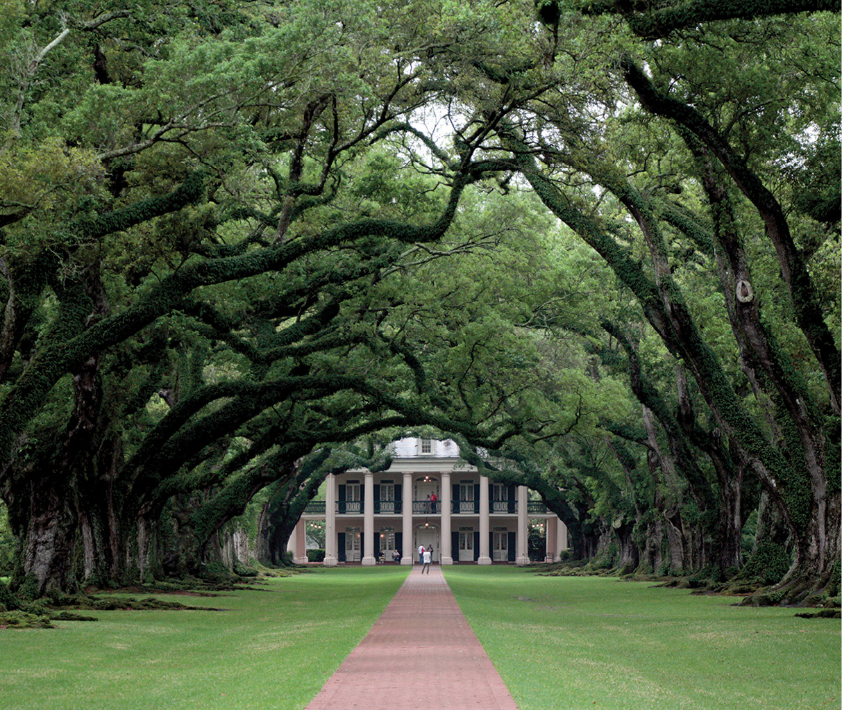 Mississippi River cruises make many plantation visits but we think Oak Alley - photo 19