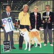 Experience the dog show world including different types of shows and the - photo 11