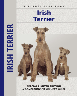 Bardi McLennan - Irish Terrier