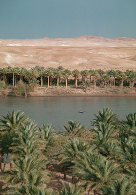 Many ancient cities grew up along the banks of the Euphrates River At nearly - photo 3