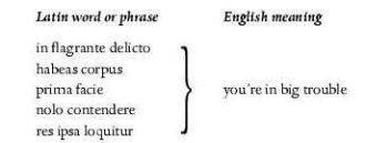 MEDICAL LATIN POLITICAL LATIN ECCLESIASTICAL LATIN BOTA - photo 3