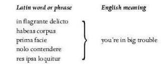 MEDICAL LATIN POLITICAL LATIN ECCLESIASTICAL LATIN BOTA - photo 3