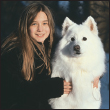 The Samoyeds cherubic face says it allwell almost all Beneath the smile and - photo 4