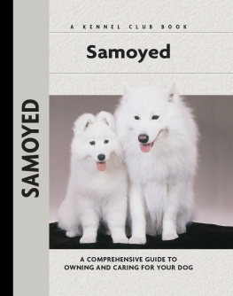 Beauchamp - Samoyed