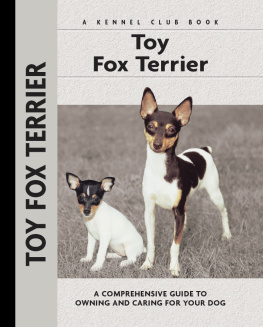 Beauchamp Toy Fox Terrier