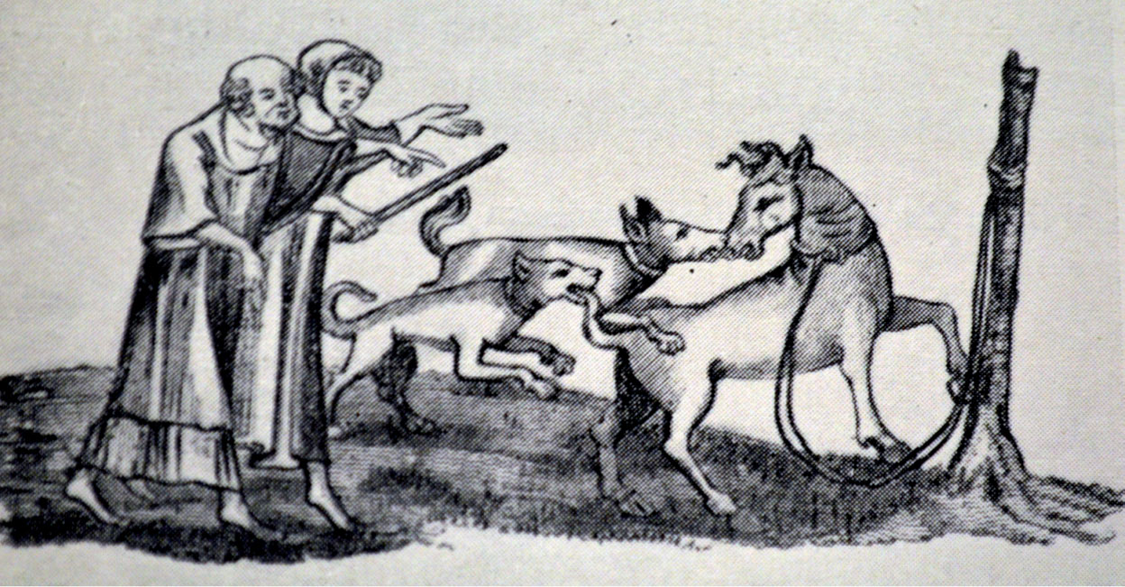 A fourteenth-century painting depicting dogs set upon a tethered beast After - photo 6