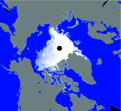 Figure 11 Satellite view of the Arctic ice coverage On 15 August 2007 the - photo 1