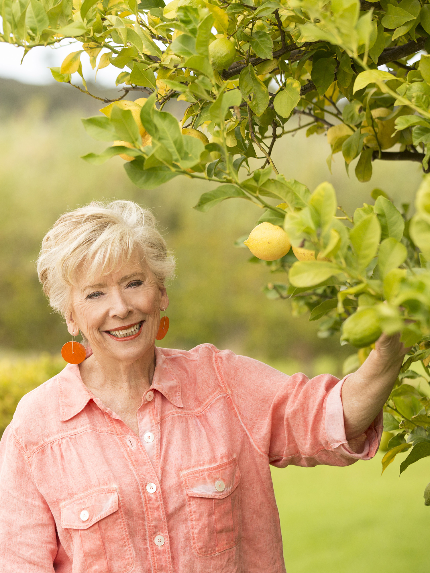 Introduction Maggie Beer F or me food without flavour without pleasure in - photo 7