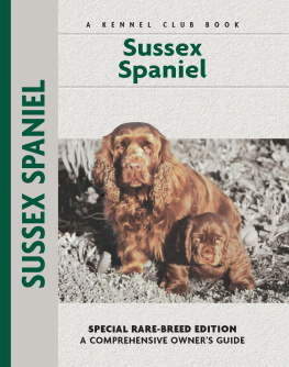 Becki Jo Hirshy Sussex Spaniel