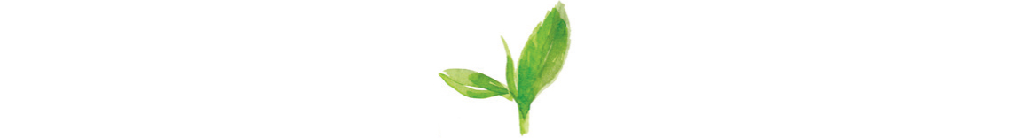 All tea comes from just one plant Camellia sinensis One plant This is the - photo 10