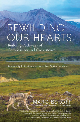 Bekoff - Rewilding Our Hearts