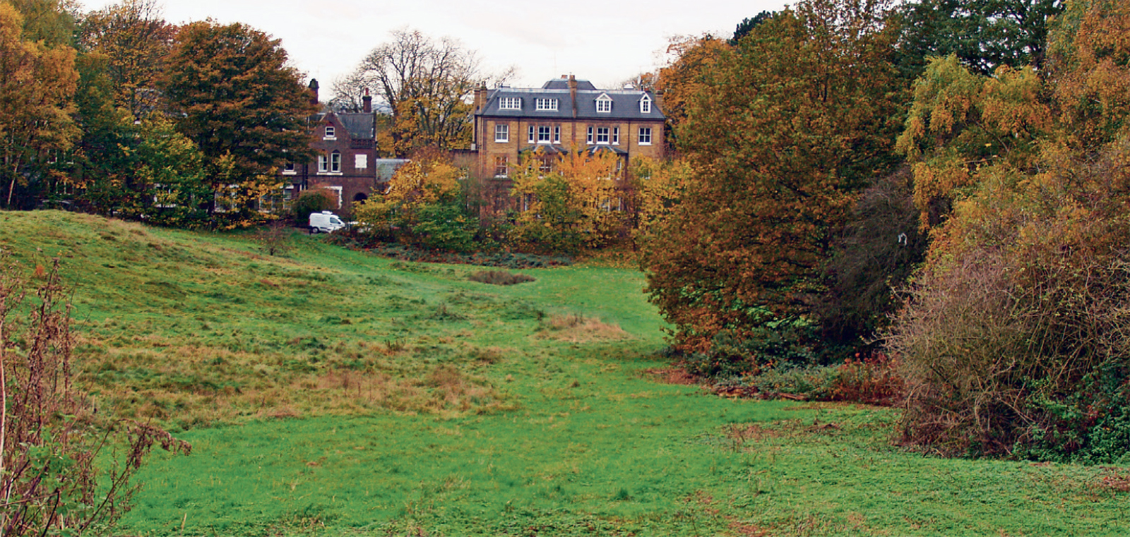 Marshy grassland is all that is left of Branch Hill Pond Kilburn Abbey In - photo 5