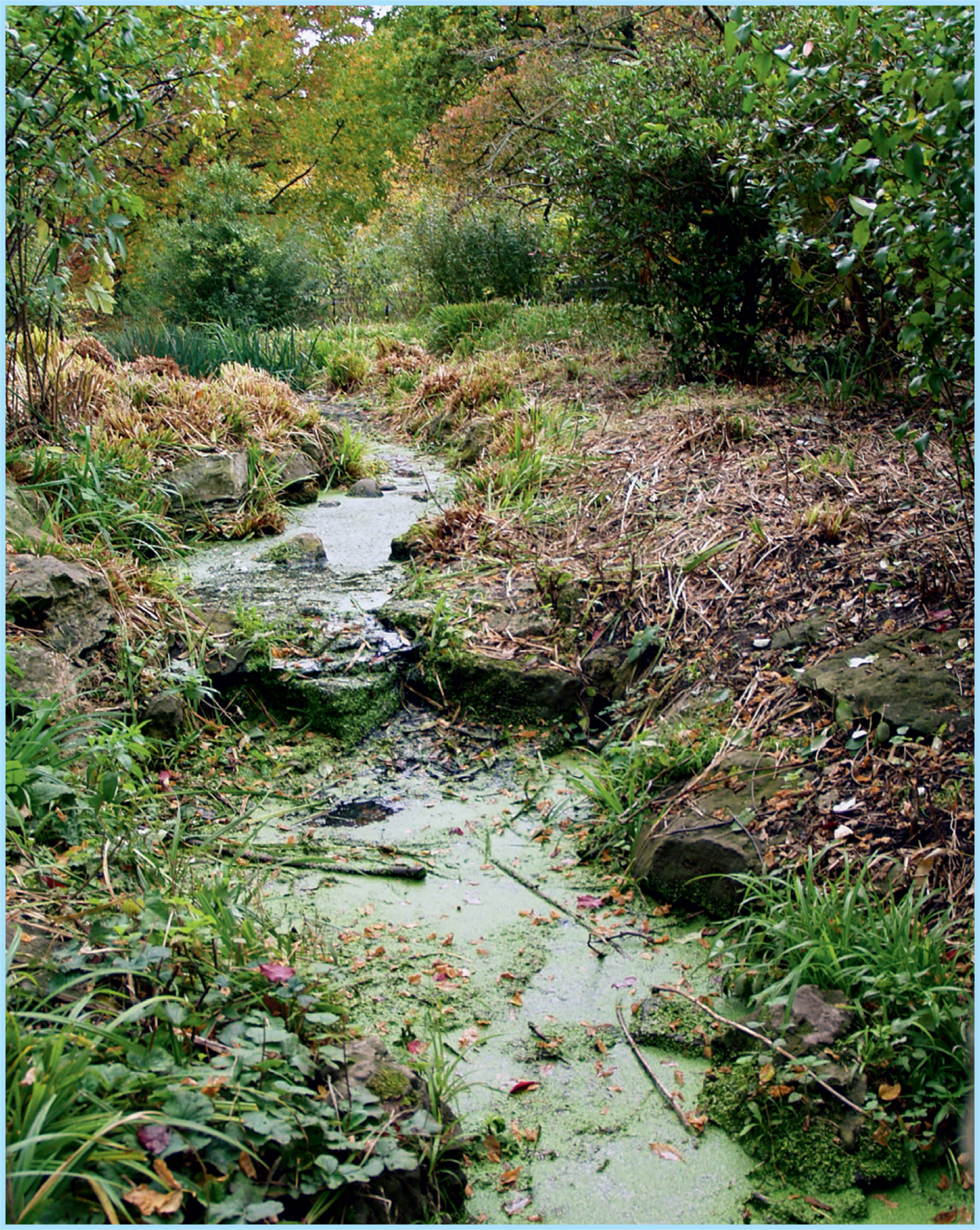 River EffraIntroduction In 2008 my five-year fascination with the run-down - photo 3