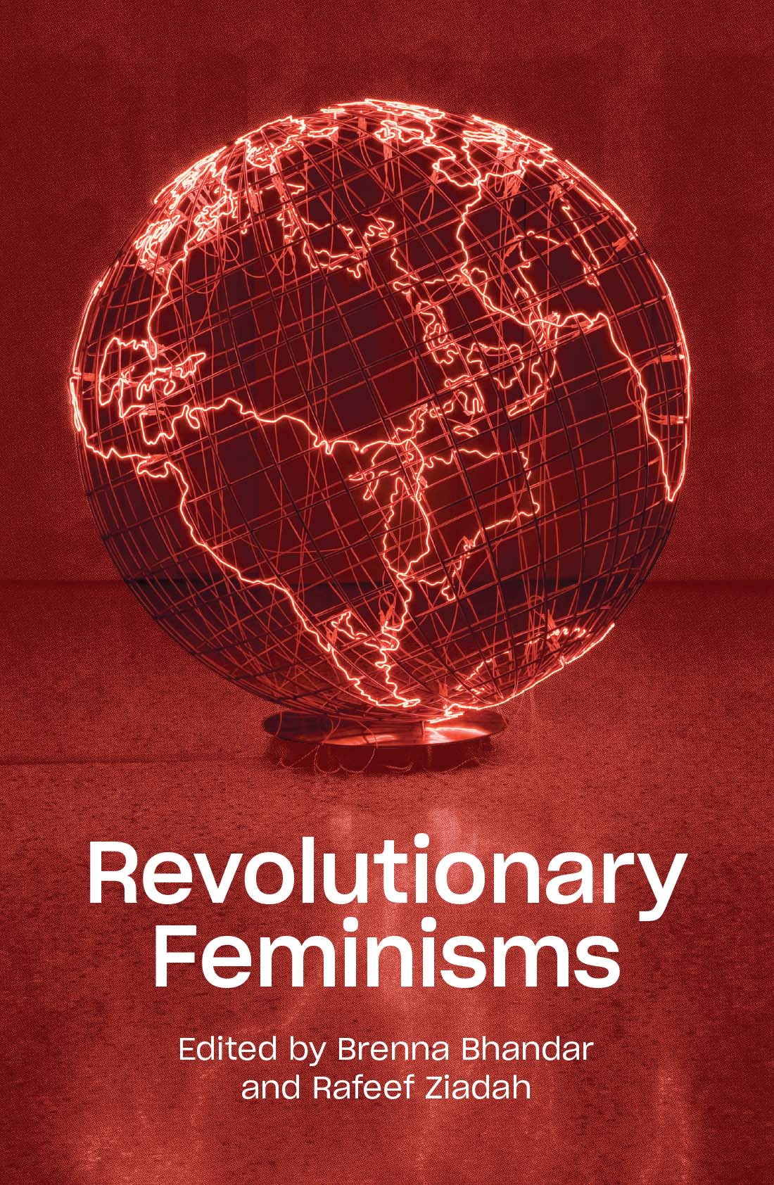 Revolutionary Feminisms Revolutionary Feminisms Conversations on Collective - photo 1